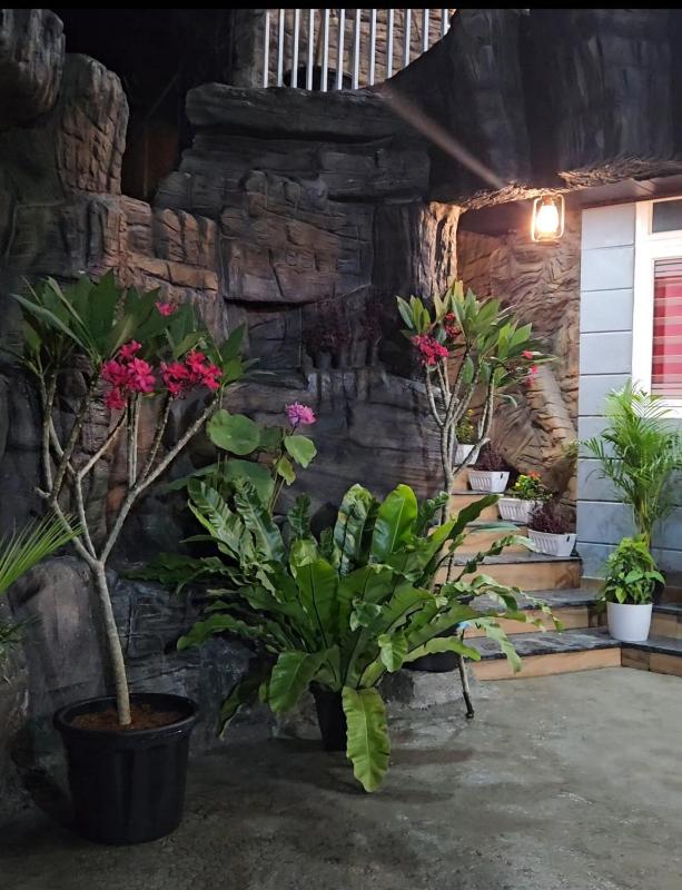 S & B Dreams House - image 10