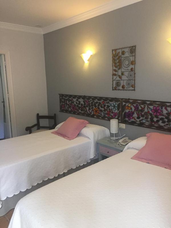 Double Superior Twin or Queen room with courtyard view  image 3