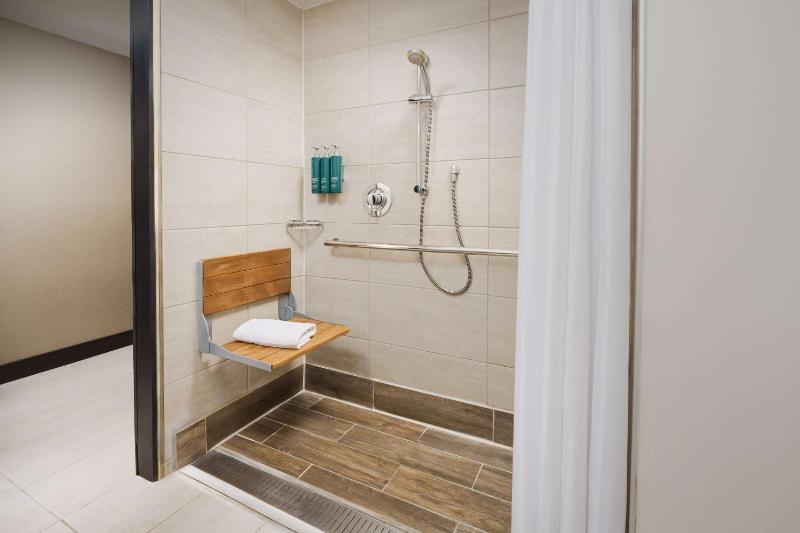 King Room with Roll-in Shower image 3