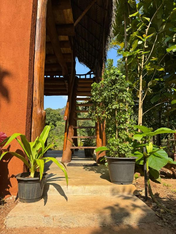Pidurangala View Treehouse - image 11