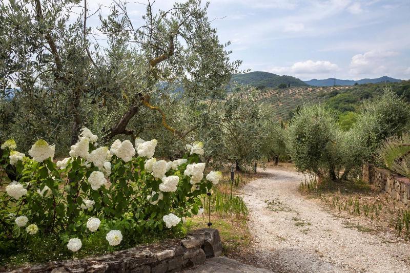 Four-Bedroom Villa image 3