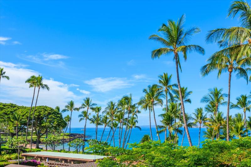 Amore Aloha 813 At Andaz Maui At Wailea Resort - image 16