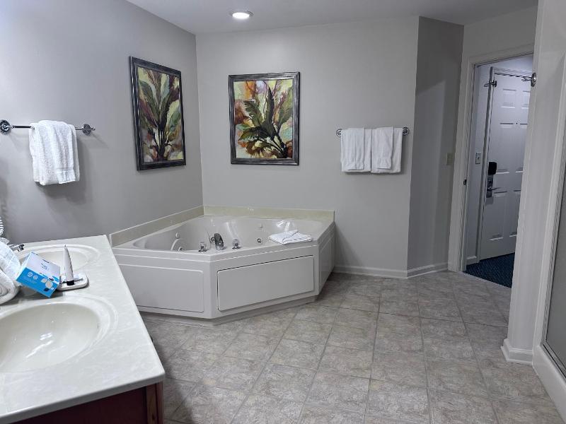Deluxe Suite image 2