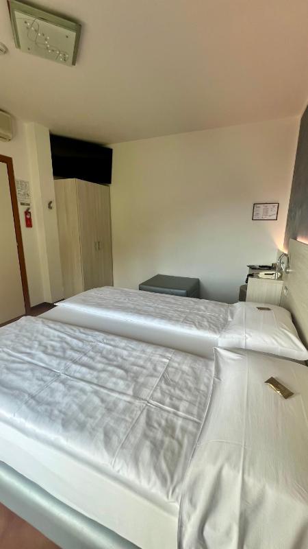 Double or Twin Room with Partial Lake View image 2