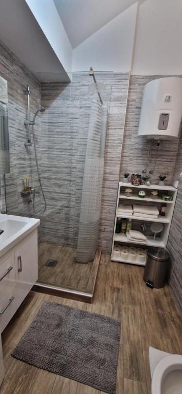 One-Bedroom Apartment image 2