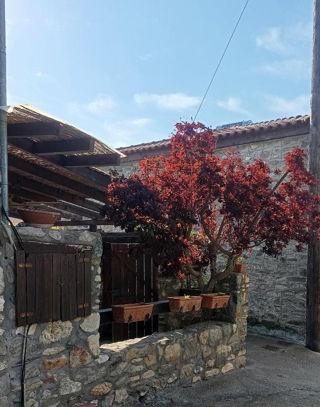 Three-Bedroom House image 3