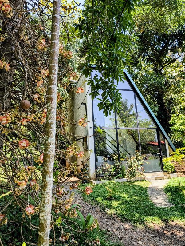 Hiriketiya Tropical Hideaway - Hazeloft Tangalle - image 12