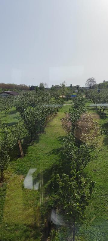 Bungalow with Garden View image 3