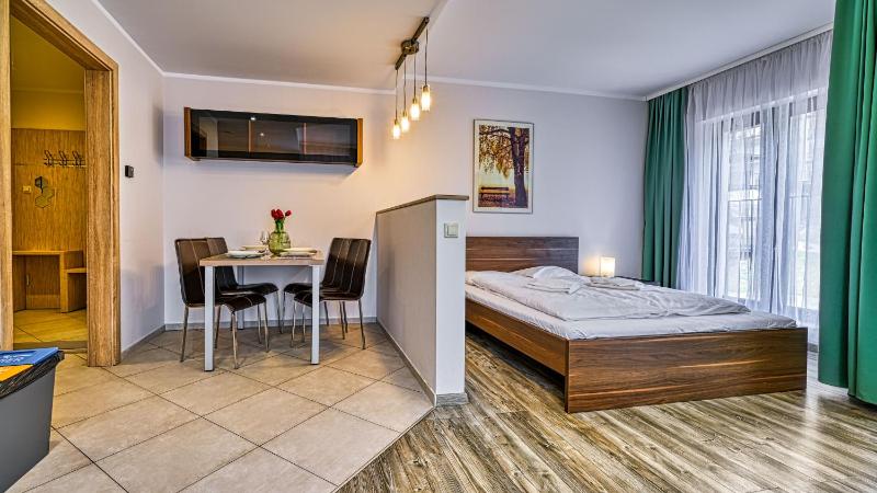 Studio Apartment image 4