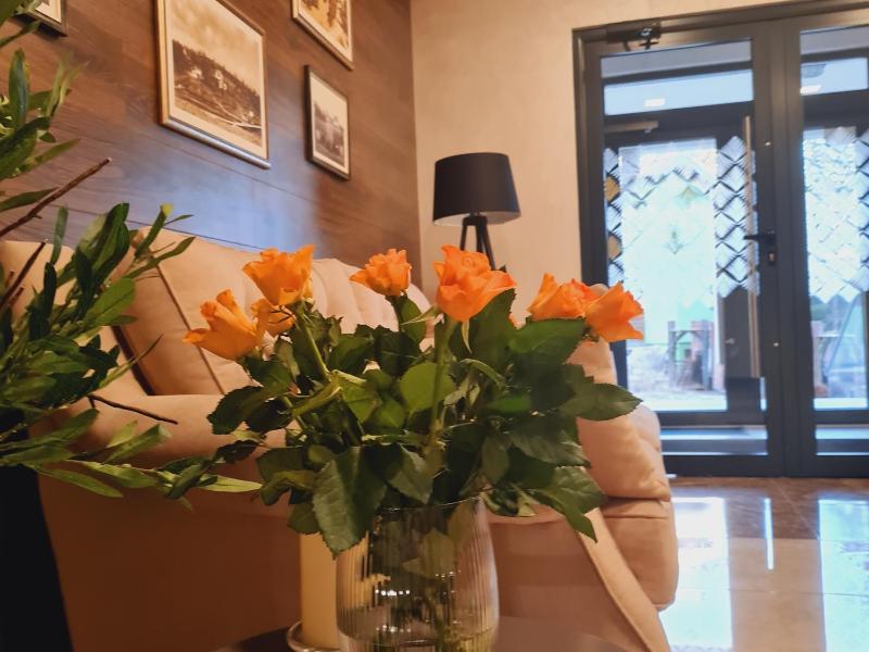 Apartman Ilic - image 2