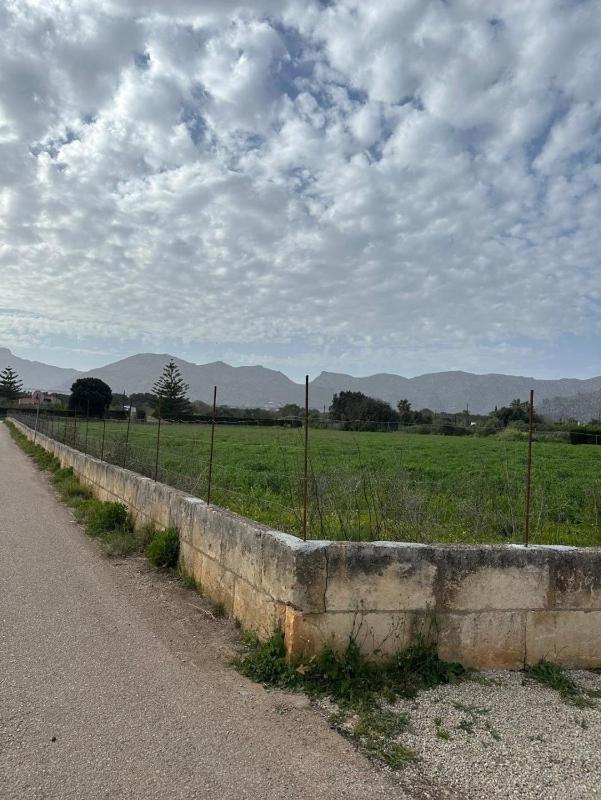 Villa Can Magraner Catalina new - image 9