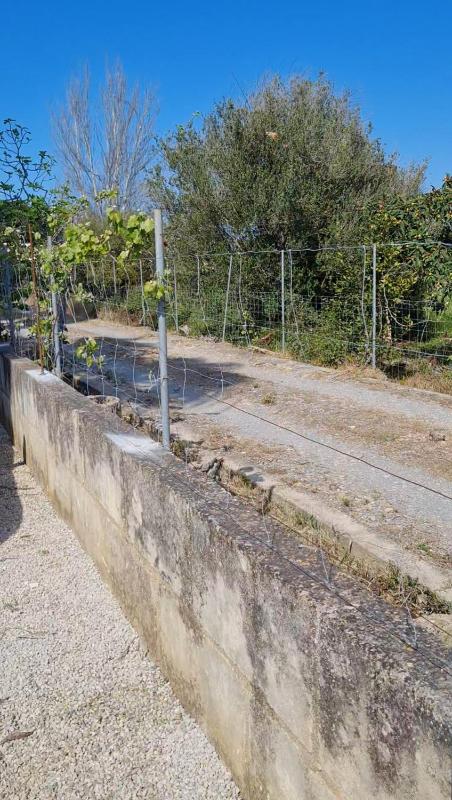 Villa Can Magraner Catalina new - image 11