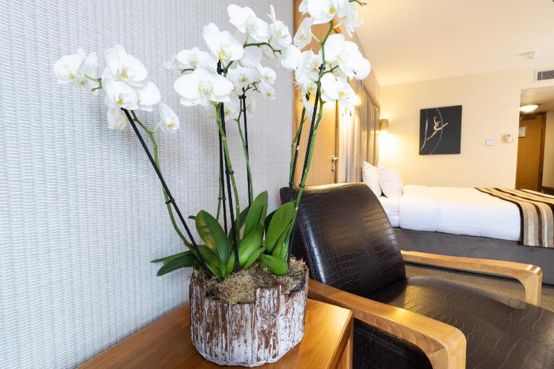 Deluxe Double Room image 2