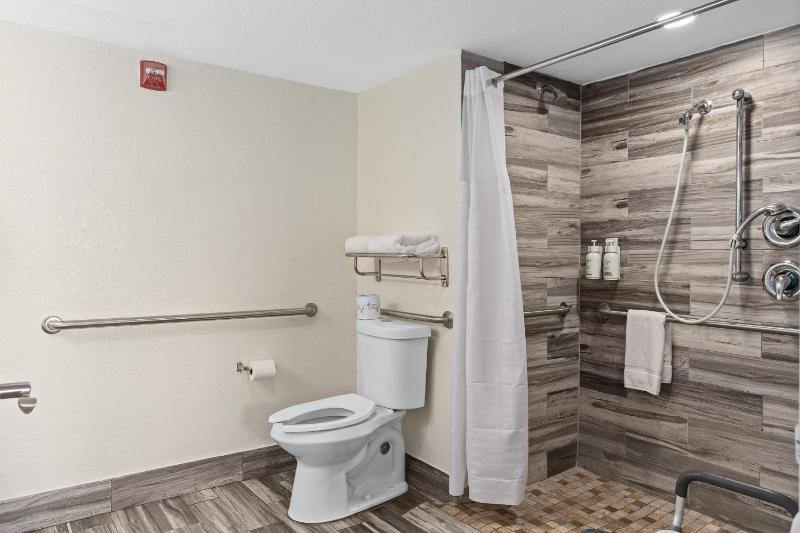 King Room with Roll-in Shower - Mobility Access/Non-Smoking image 4