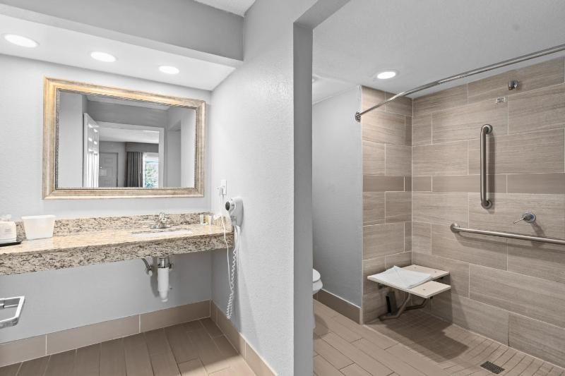 King Room with Mobility Access and Bathtub with Grab Bars, Non-Smoking image 4