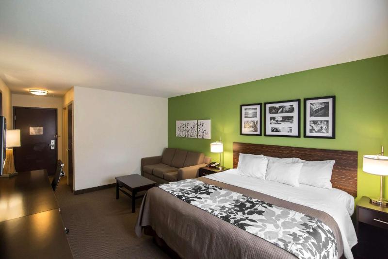 King Suite - Non-Smoking image 2