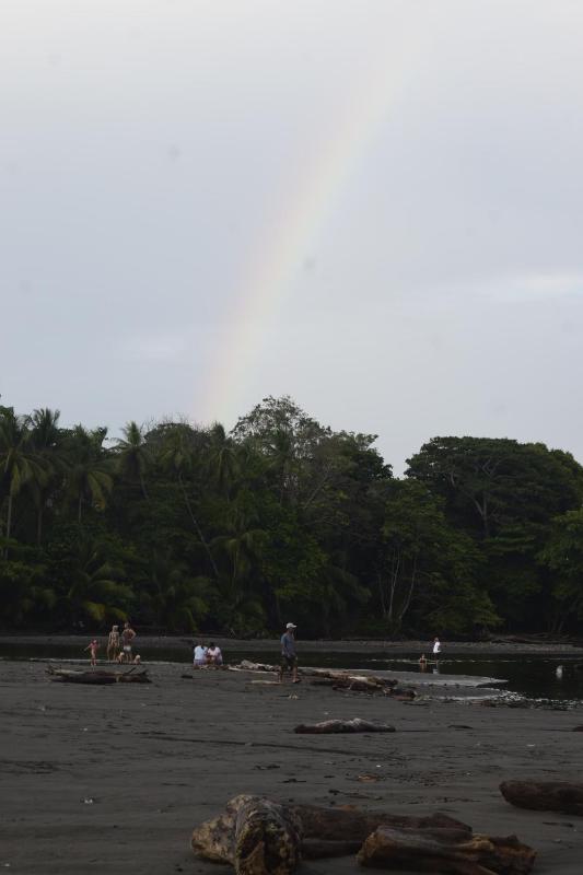 Coconut Lodge Pavones - image 11