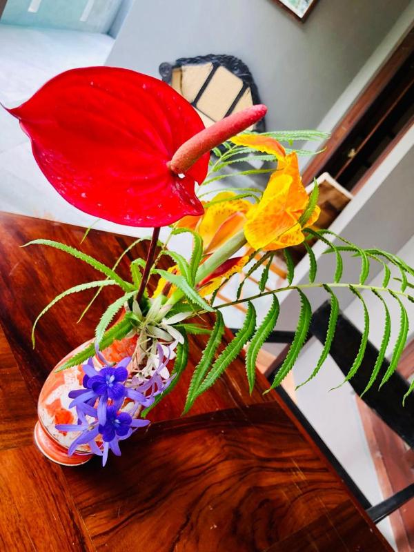The Tropical Hideout - image 28