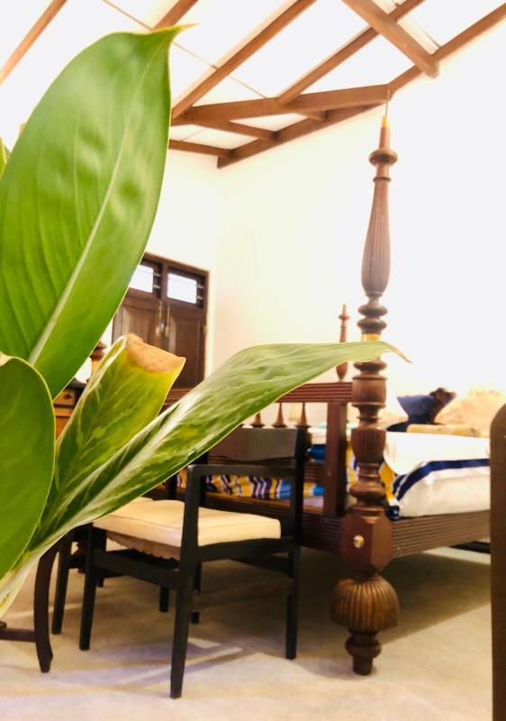 The Tropical Hideout - image 11