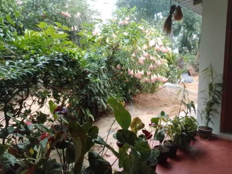 Keyon Homestay - image 6