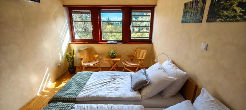 Twin Room image 1