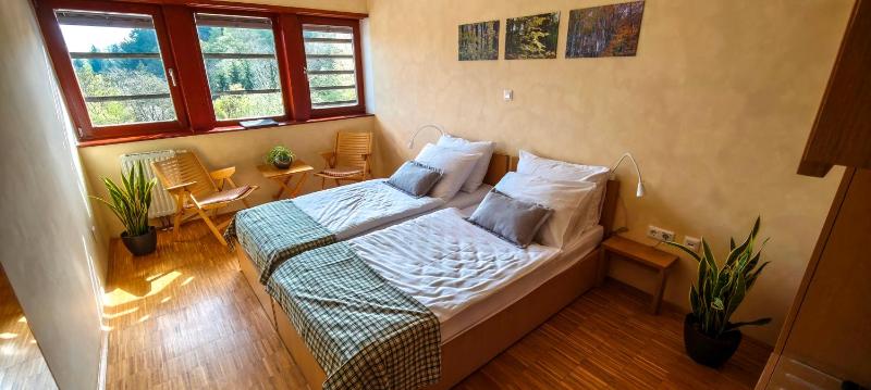 Twin Room image 3