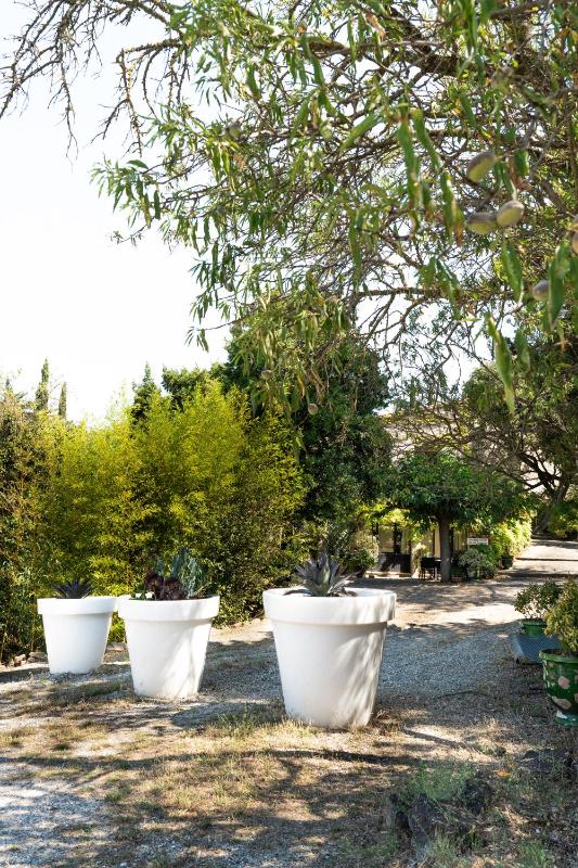 La Maison sur la Colline - image 15