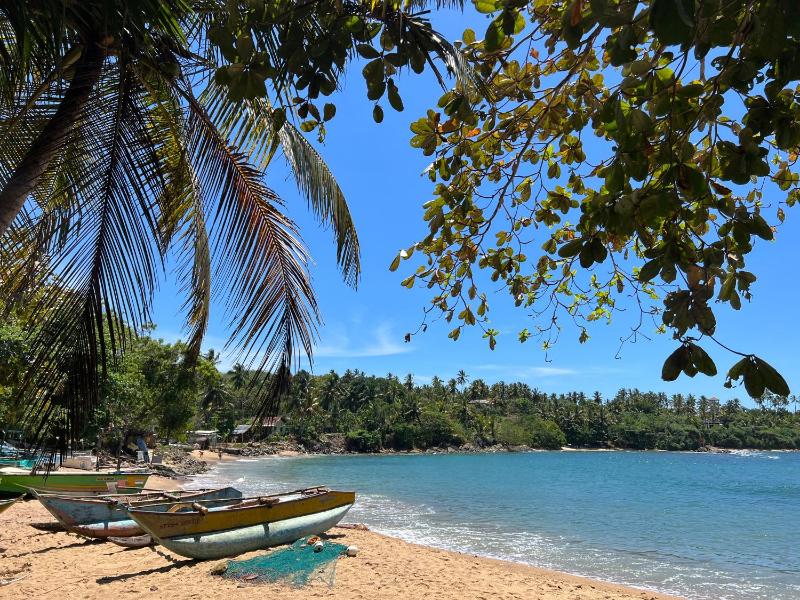 Into The Blue - Walk to 3 beaches & surf - image 15