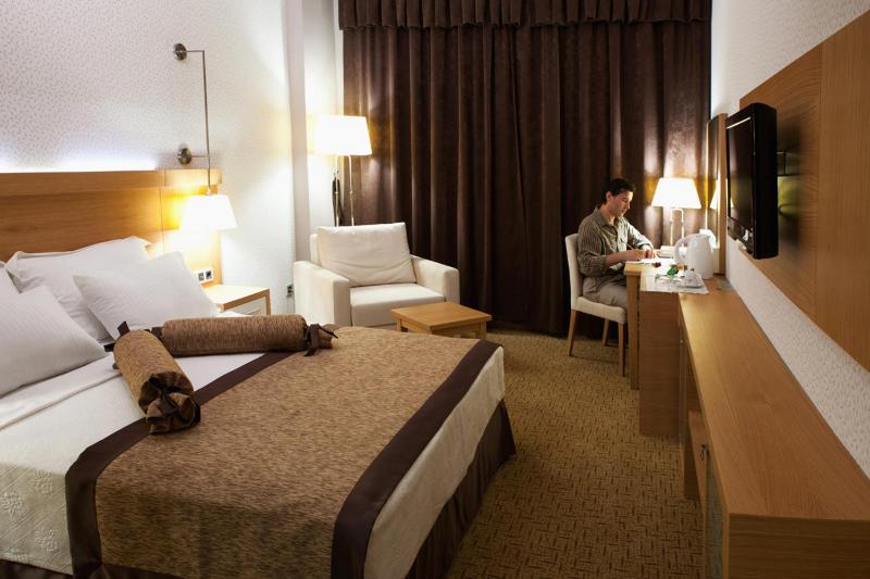 Standard Hotel Room image 4