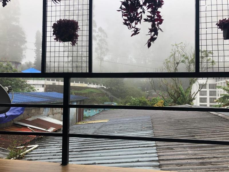 Birdwing Cottage Munnar - image 4