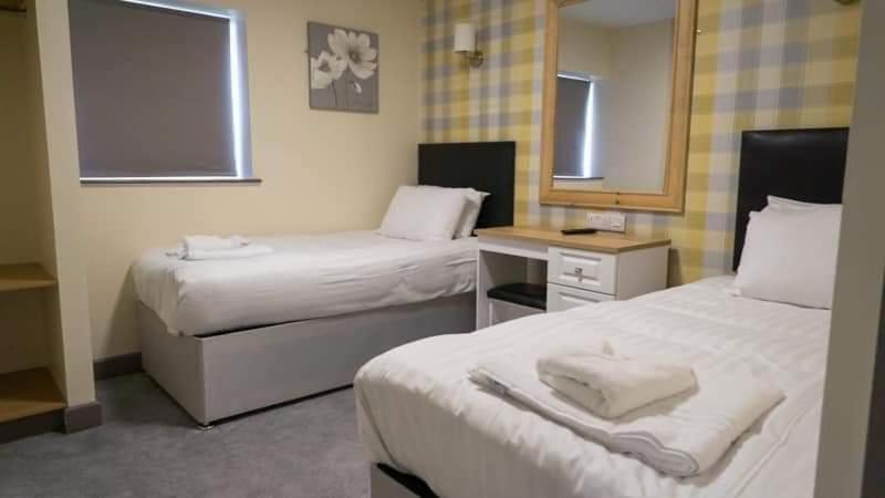 Standard Twin Room image 1