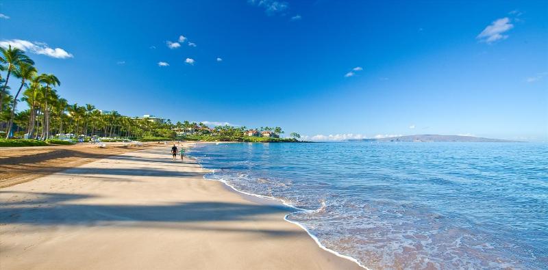 Seaspirit 811 At Andaz Maui At Wailea Resort - image 7