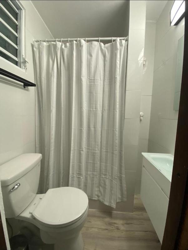 One-Bedroom Apartment image 2