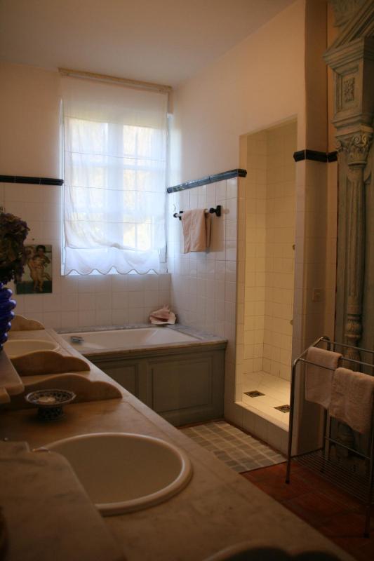 Deluxe Double Room image 4