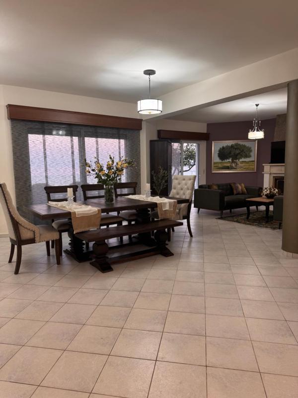 Villa Artemis Wine Dark Sea Villas - image 8