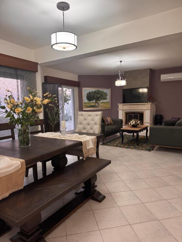 Villa Artemis Wine Dark Sea Villas - image 3