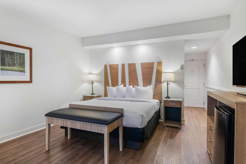 King Room with Wet Bar - Non-Smoking image 4