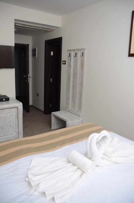 Deluxe Double or Twin Room image 3