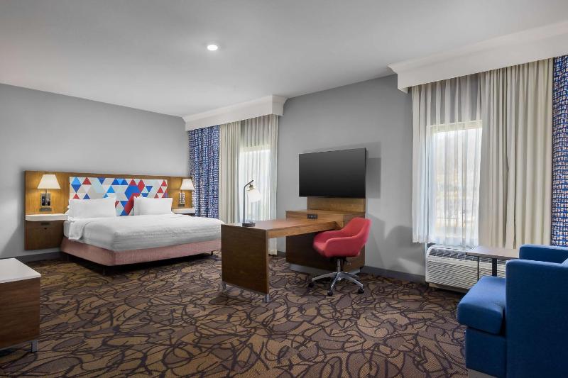 King Studio Suite with Microwave and Fridge image 4
