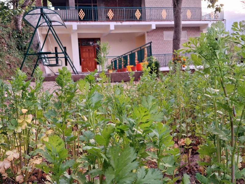 PC Kunj Kasauli hills Homestay Kanda-Gandhol - image 26