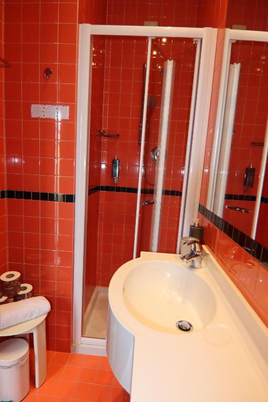 Superior Single Room image 3
