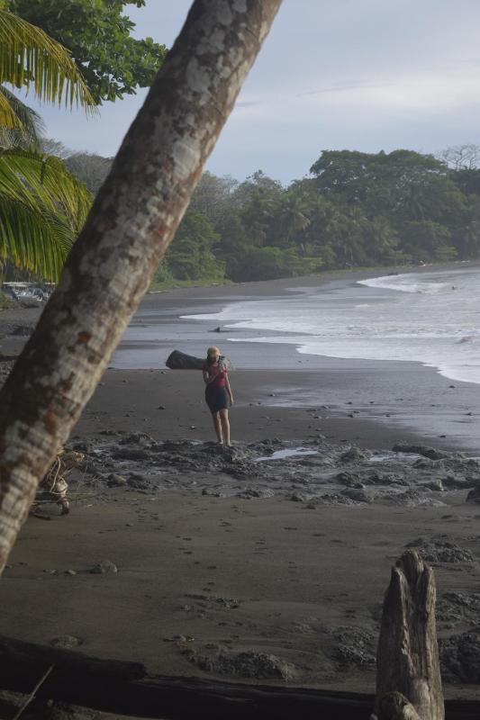 Coconut Lodge Pavones - image 16