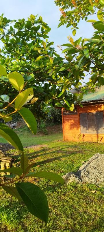 Boca Tapada Inn - image 3