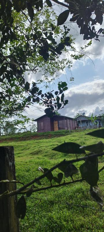 Boca Tapada Inn - image 9