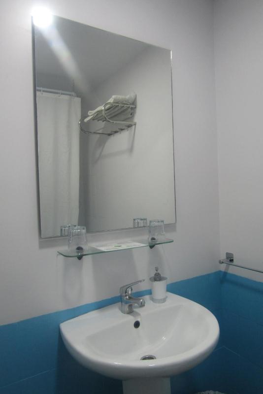 Double or Twin Room image 4