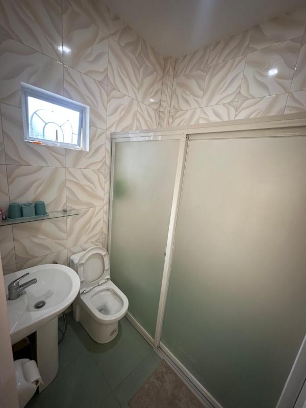Jenny's White Haven - image 7