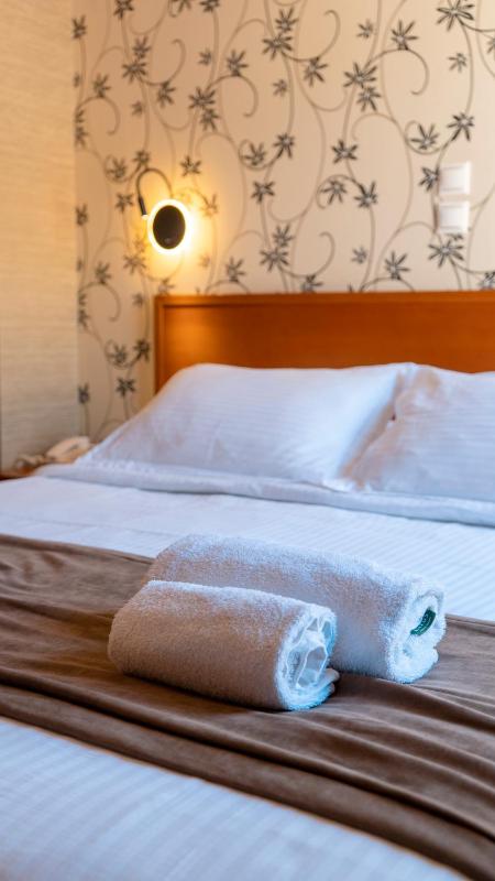 Standard Double Room image 3