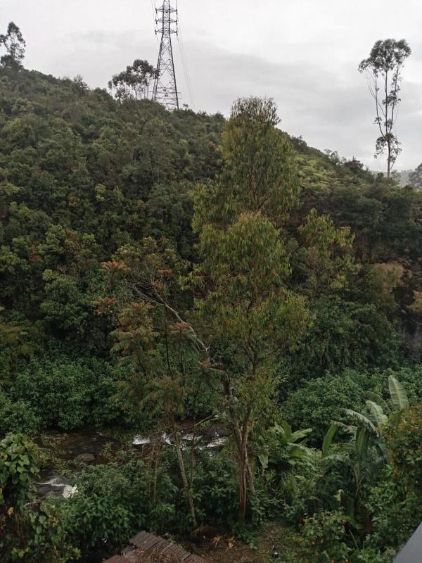 Gregory River View - image 11