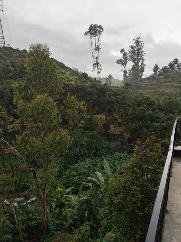 Gregory River View - image 7