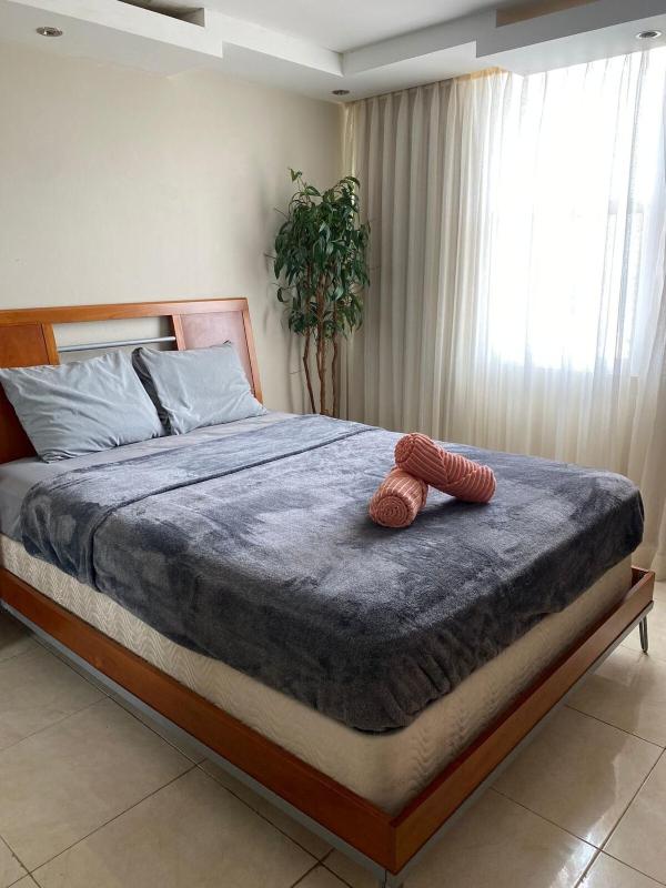 One-Bedroom Apartment image 3